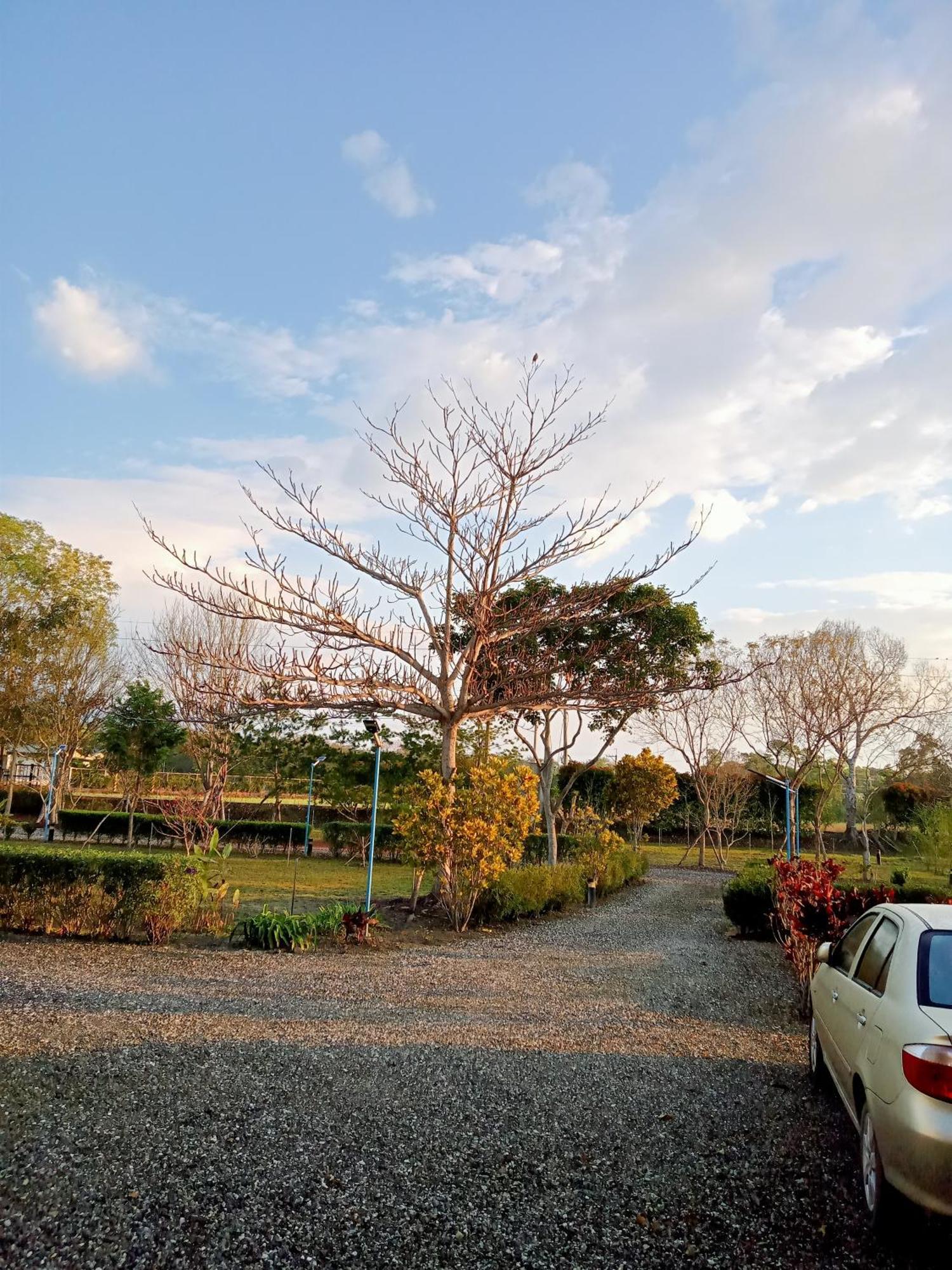 Maple Feeling Vacation Farm Guest House Quang Phục Ngoại thất bức ảnh