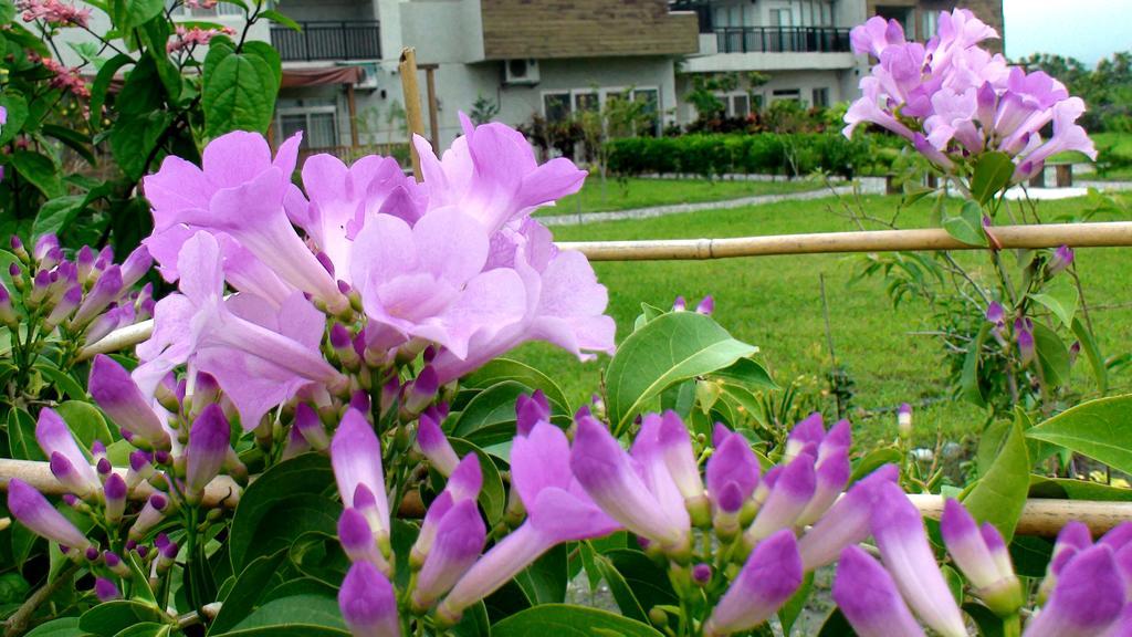 Maple Feeling Vacation Farm Guest House Quang Phục Ngoại thất bức ảnh